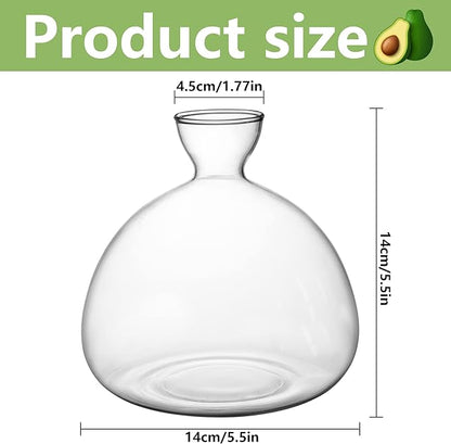 Avocado Tree Growing Kit,Avocado Seed Starter Vase,Glass Plant Pot with Avocado Stickers,Plant Indoor Grow Gardening Gifts