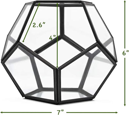 Cute Farms Glass Terrarium Kit | Just Add Your Own Plants (Geometric Glass)