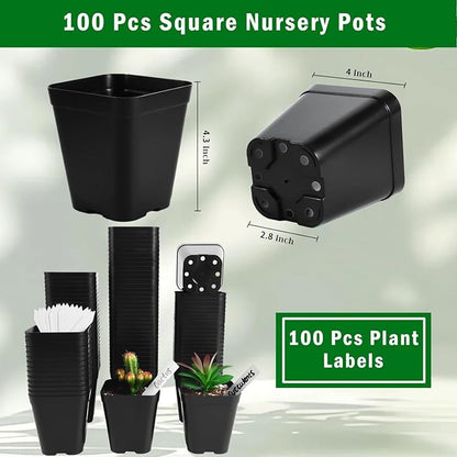June Fox Small Seedling Pots 4 Inch, 100 Pcs Square Plant Pots Bulk, Plastic Nursery Pots with Drain Holes for Seedlings, Succulents, Cuttings (Black)