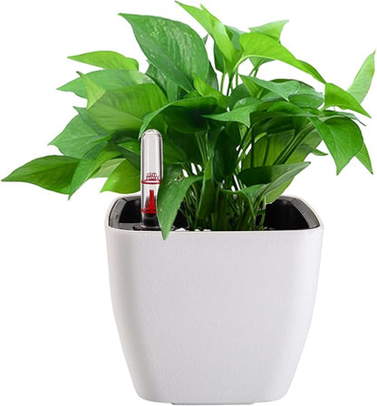 yarlung 6 Pack Self Watering Planter with Water Level Indicator, 5 Inch Plastic Plant Flower Pots Nested Container for Indoor Plants, Herbs, Aloe, Outdoor Gardening