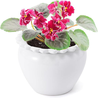 African Violet Flower Pot Ceramic Self Watering Flower Pot 6.5 * 4.6 * 4 inch Simple Plant Self Watering Pot Indoor Flowers High Absorption Herbaceous Flower Pots Modern Decor Pots