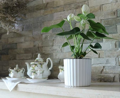 MUZHI Orchid Pot with Net and Holes, Round Self Watering Planter Pot for Indoor Plants and Flowers 3 Sets White