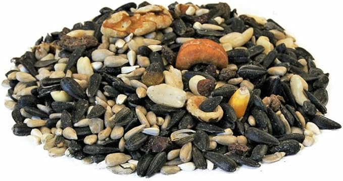 CountryMax Backyard Seeds Berries 'N Fruit Bird Seed Mix 40lbs - Premium Blend with Dried Fruit & Berries, Large Bag of Wild Bird Food