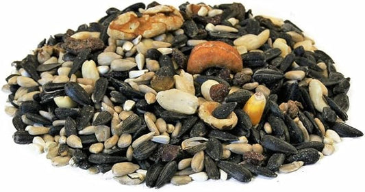 CountryMax Backyard Seeds Berries 'N Fruit Bird Seed Mix 40lbs - Premium Blend with Dried Fruit & Berries, Large Bag of Wild Bird Food