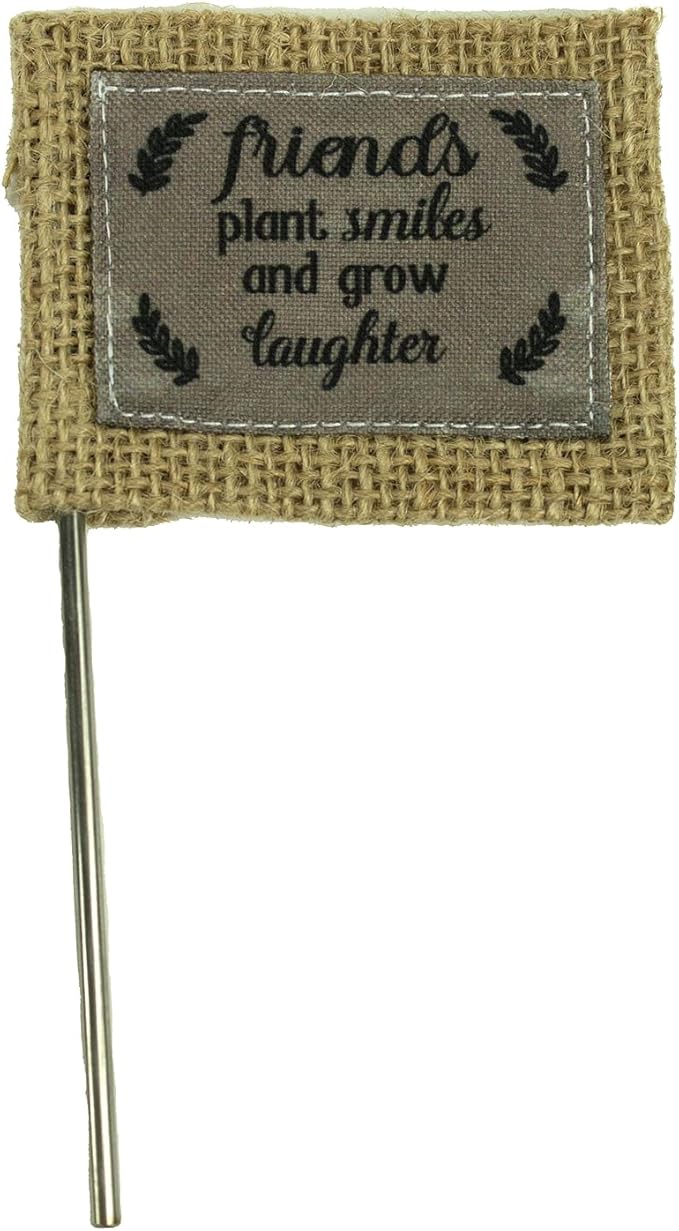 Abbey & CA Gift Friends Plant Smiles Flag Flower Pick