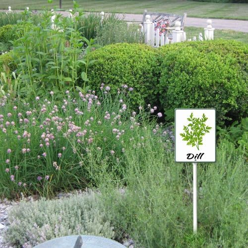 FemiaD Plant Label Signs Planted Herb Garden Markers Waterproof Aluminum Plant Stake Tags Dill Sign for Nursery Indoor Outdoor Garden Decoration 4.6x6inch
