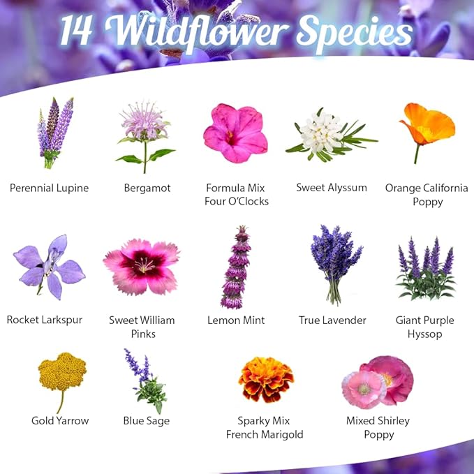 Deer Resistant Wildflower Seeds - 1oz, Open-Pollinated Flower Seed Mix Packet, No Fillers, Annual, Perennial Wildflower Seeds for Planting - 1 oz