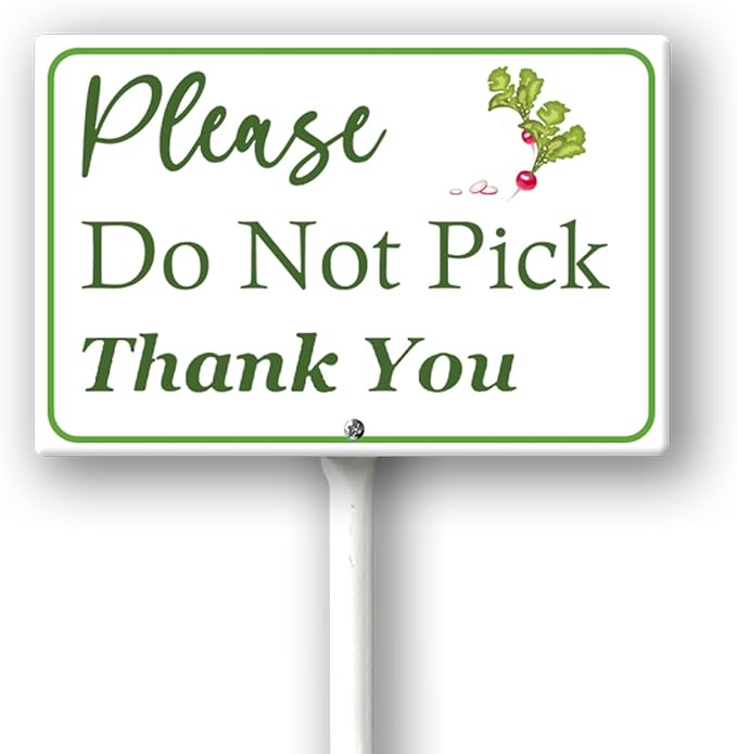 Boylee (8X12) IN Please Do Not Pick Radish Thank You Yard Sign With Stake Rustproof Aluminum Fruit Vegetable Signs Stand for Home Orchard Garden Outdoor Decoration