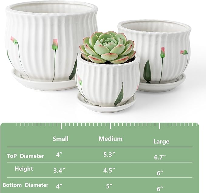 Plant Pots for Indoor Plants Set of 3, 4+5.3+6.7 Inch Ceramic Plant Pots with Drainage Hole，Cute Garden Pots Succulent Pots with Saucer
