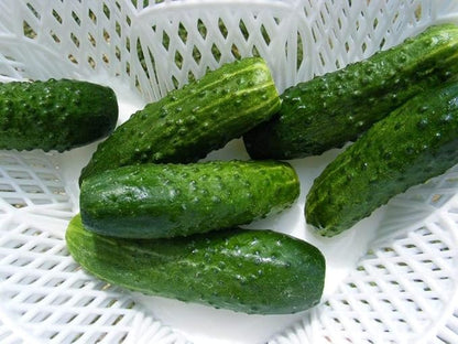 Seeds Vegetable Indoor Cucumber Self-Pollinating Close Family F1 All Seasons Vine Plant for Pickling - 20 Seeds
