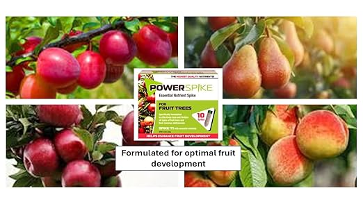 for Fruit Trees. Essential Nutrient Spike formulated to Feed All Types of Fruit Trees (Apple, Peach, Orange, Lemon, Lime, etc.) and Address Common Deficiencies (10 Spikes - 3.2 Lbs)