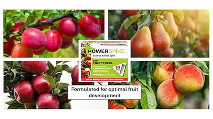 for Fruit Trees. Essential Nutrient Spike formulated to Feed All Types of Fruit Trees (Apple, Peach, Orange, Lemon, Lime, etc.) and Address Common Deficiencies (10 Spikes - 3.2 Lbs)