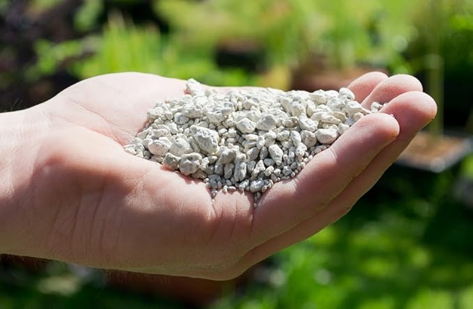 Nature's Footprint Pumice 3G 3 gallon Soil Amendment, Medium