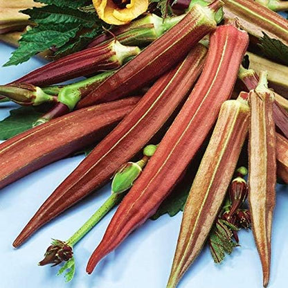 Seeds Alabama Red Okra (Bamia, Lady Finger) Heirloom Vegetable Non GMO