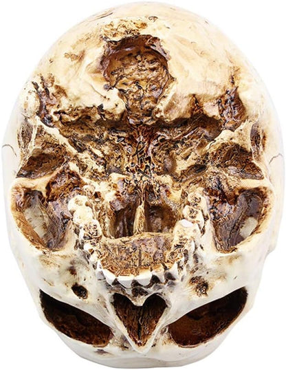 RMM Halloween Decoration Retro Human Skull Head Flower Pot Planter Bed Box Container Replica Home Bar Décor,Clear