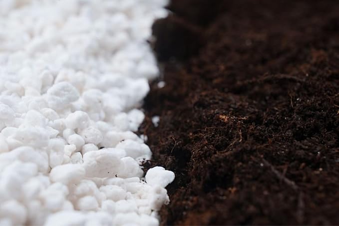 Organic Perlite for Plants, Horticultural Perlite Bulk, Soil Amendment for Enhanced Drainage and Plant Root Growth, Ideal for Potting Mixes (2 Quart)