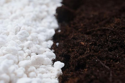 Organic Perlite for Plants, Horticultural Perlite Bulk, Soil Amendment for Enhanced Drainage and Plant Root Growth, Ideal for Potting Mixes (2 Quart)