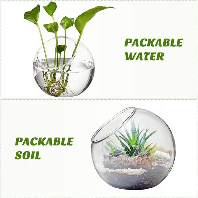 Angoily Glass Succulent Planter 3 Pack Hydroponic Flower Utensils for Indoor Outdoor Use Transparent Glass Terrarium Bowls for Small Plants Air Plant Holder for Home Garden Decor