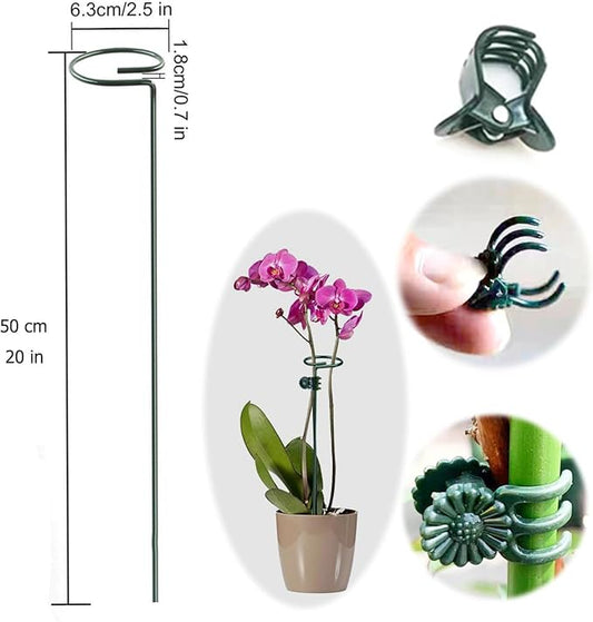10 pcs 20 inch Metal Single Stem Flower Plant Support Stakes and Rings for Amaryllis Orchid Lily Sunflower Rose Narcissus