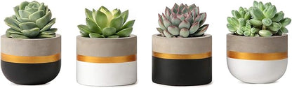Mkono 3 Inch Mini Succulent Pots Concrete Planter Set, Modern Tiny Container for Indoor Plants, Christmas Home Office Decor Gifts for Plant Lovers (Plant NOT Included)