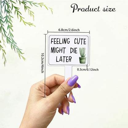 arricraft 15 Pcs Funny Phrases Plant Labels, 15 Styles Acrylic Succulent Cactus Pattern Potted Plant Markers for Indoor Outdoor Seed Patio Supplies 10.2x6.8cm(4x2.68inch)