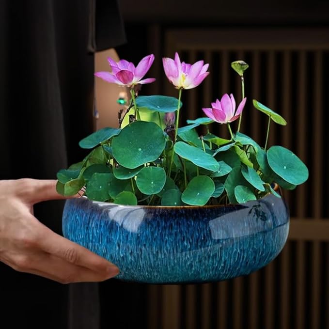 Lotus Bowl Planter, Lotus Bowls for Planting in Water Indoors, Bonsai Bowl Lotus Flower Seeds, Ceramic Planters for Indoor Plants (Dark Blue)