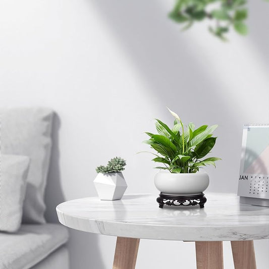 YARNOW Lotus Bowl Planter with Stand, 5.1 Inch Hydroponic Planter Bowl, Ceramic Water Lily Pot for Home Garden Office Decor