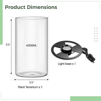 Desktop Glass Terrarium with Grow Light - Succulent Moss Miniature Gardening Landscape, Fish Tank Indoor Plant Growth Office Home Decoration Plant Lovers Gifts