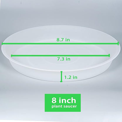 2 Pack of 8 inch Plant Saucer Clear, Heavy Duty Plastic Plant Water Tray 8 inch Round, Flower Plant Saucers for Indoors No Holes, Plant Dishes Saucer for Planter 7"/8" (8", Clear)