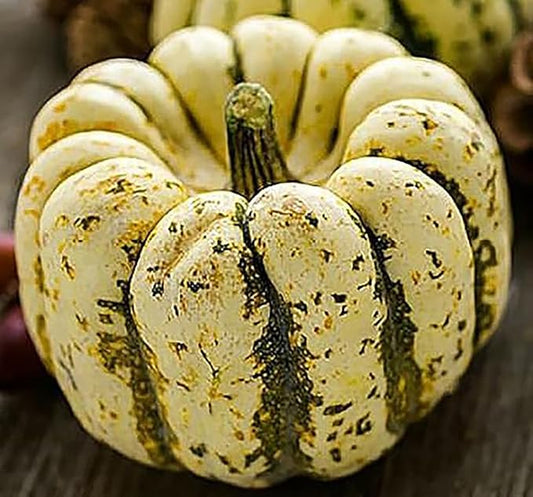 Sweet Dumpling Squash Seeds - Approximately 30 Seeds