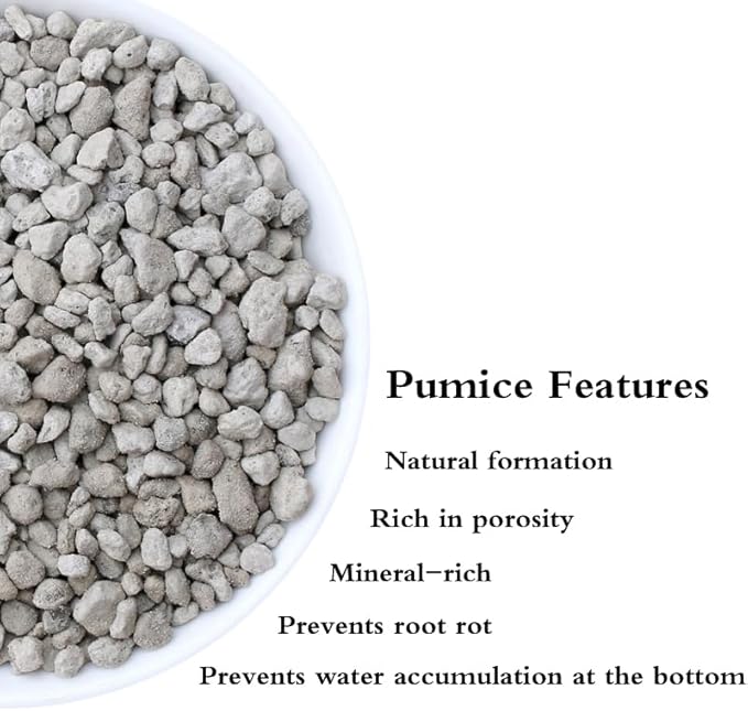 Garden Pumice Rock Horticultural Cactus Bonsai Succulent Soil Additive for Plants, Landscaping, Vase Fillers (1/2 inch, 5 QT)