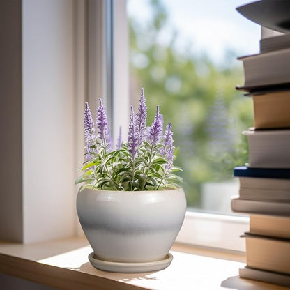Planter Pot 6 Inch - Ceramic Plant Pot with Drainage Hole and Saucer, Round Glaze Succulent Pot for Plants, White