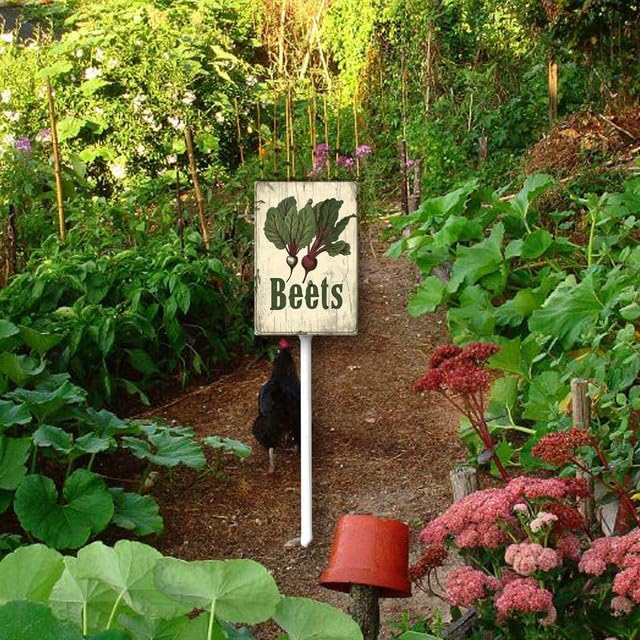 Uptell Vintage Vegetable Signs for Garden with Stake Beets Yard Sign Vegetable Garden Label Stakes Plant Markers for Outdoor Plants Waterproof 8x12inch