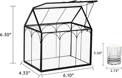 Ferrisland Glass Plant Terrarium Container Wardian Case Indoor Small Succulent Terrarium Planter W/Door for Tabletop Decor DIY (6" L x 4.3" W x 6.3" H)
