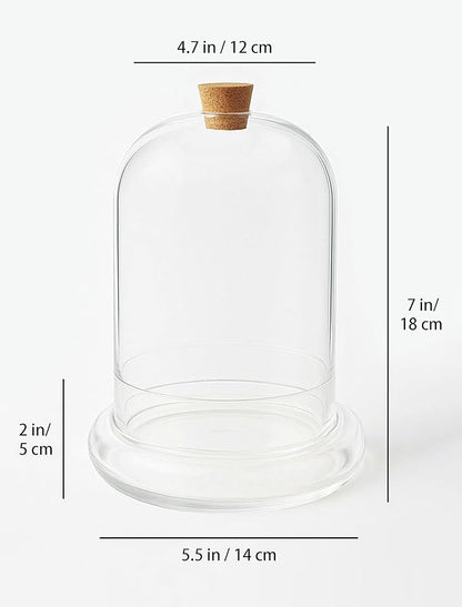 Handblown 7" Glass Terrarium with Opening for Air Flow & Cork Stopper Cloche Style Glass Dome Vivarium Display Case (Small)
