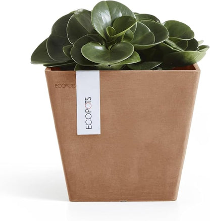 Ecopots Rotterdam Durable Modern Square Indoor/Outdoor Recycled-Based Composite Flower Planter, Terracotta Color, 8"
