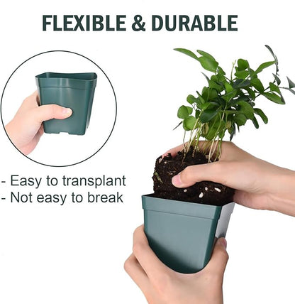 June Fox 100 Pack Green Square Nursery Pots with Drainage Holes 3.3 Inches Flexible Plastic Seedling Pots Square Pots for Plants, Succulent, Flower, with Plant Labels