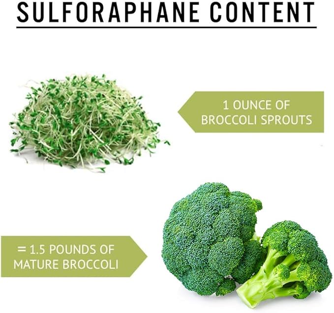 1 lb Broccoli Sprouting Seeds - Perfect for Sprouting & Microgreens, Rich in Sulforaphane, USA Grown (Resealable Bag)