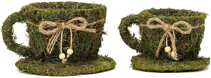 Efavormart Set of 2 | Preserved Moss Teacup Planter Box with Natural Braided Twine Bow - 5" & 4.5"