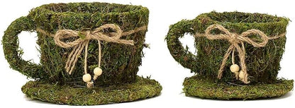 Efavormart Set of 2 | Preserved Moss Teacup Planter Box with Natural Braided Twine Bow - 5" & 4.5"