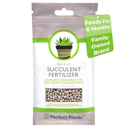 Succulent and Cactus Fertilizer in 5oz. Bag | Long Lasting Gentle Plant Food Formula for All Live Succulents, Cacti, and Other Desert Houseplants