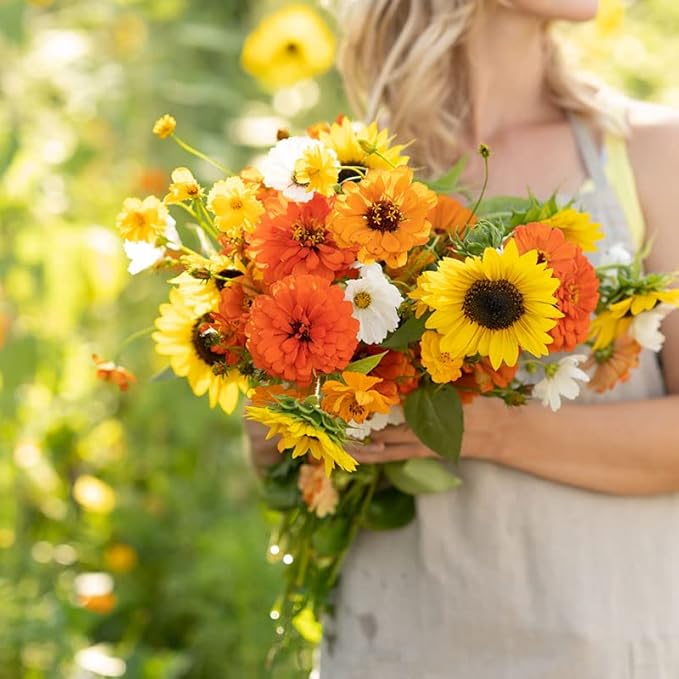 Eden Brothers Sunset Flower Mixed Seeds for Planting, 1/4 lb, 120,000+ Seeds with Cosmos, Zinnia, Sunflower, Corn Marigold, Attracts Pollinators, Plant in Spring or Fall, Zones 3, 4, 5, 6, 7, 8, 9, 10
