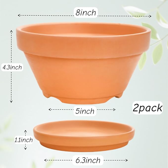 2 Pack 8 Inch Shallow Succulent Terracotta Pots with Drainage Hole and Saucer, Clay Plant Pots for Indoor and Outdoor Planter, Bowl Planter for Orchid, Cactus, Flowers