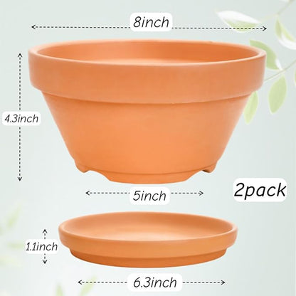 2 Pack 8 Inch Shallow Succulent Terracotta Pots with Drainage Hole and Saucer, Clay Plant Pots for Indoor and Outdoor Planter, Bowl Planter for Orchid, Cactus, Flowers
