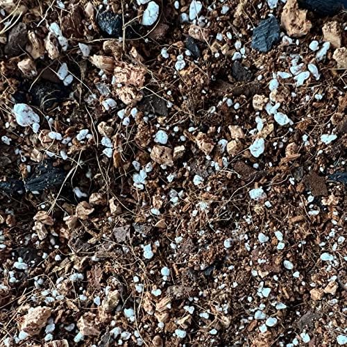 Peace Lily Imperial Houseplant Potting Soil Mix by rePotme - Junior Bag (4 Quarts)