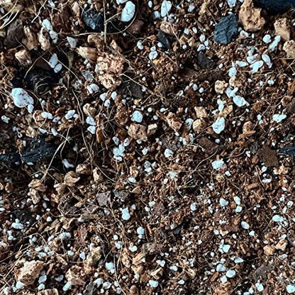 Peace Lily Imperial Houseplant Potting Soil Mix by rePotme - Junior Bag (4 Quarts)