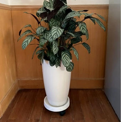 WanderingDonkey 11 Inch Heavy Duty Plant Caddy with Wheels,Rolling Plant Stand Pot Trolley,Wheeled Planter Saucer Tray,Potted Flower Mover Dolly with Casters Round Coaster for Indoor outdoor,White