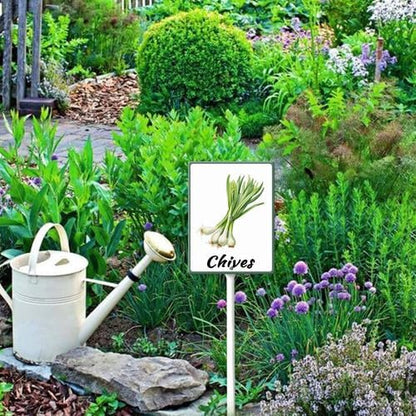 FemiaD Plant Label Signs Planted Herb Garden Markers Waterproof Aluminum Plant Stake Tags Chives Sign for Nursery Indoor Outdoor Garden Decoration 4.6x6inch