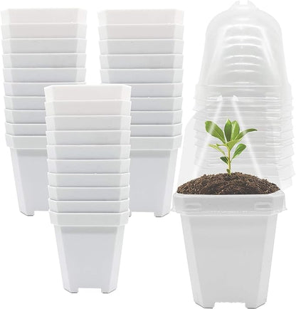 Purple Star 1N 30 PCS Plant Nursery Pots with Humidity Dome-Gardening Pots Small-Square Planting Containers Cups for Succulents Seedlings Cuttings Transplanting (30 PCS-S)