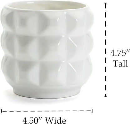Arktiva Ceramic Planter Pot with Drainage Hole, 4.5 Inch Dia, Indoor and Outdoor, Home Patio Garden, Plants Flower Succulent, 3D Patterned Round (White)